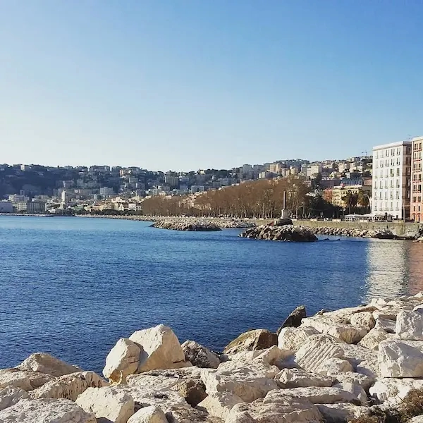 Naples Private Tour by Driver Service