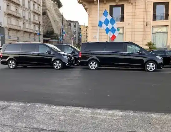 Driver Service Naples Cars